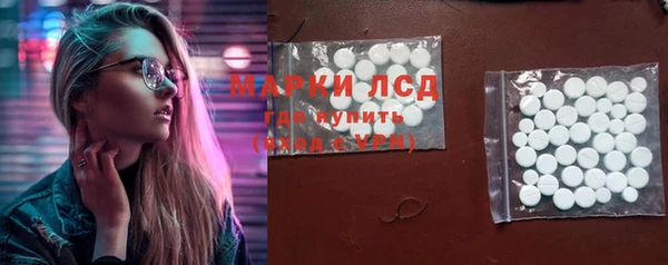 прущие грибы Заволжск