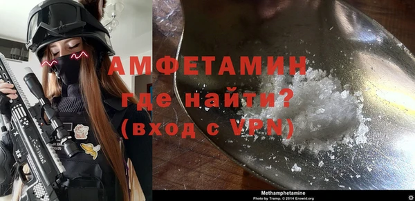 шишки Заводоуковск