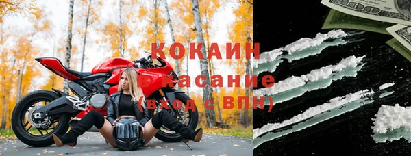 стафф Алексин