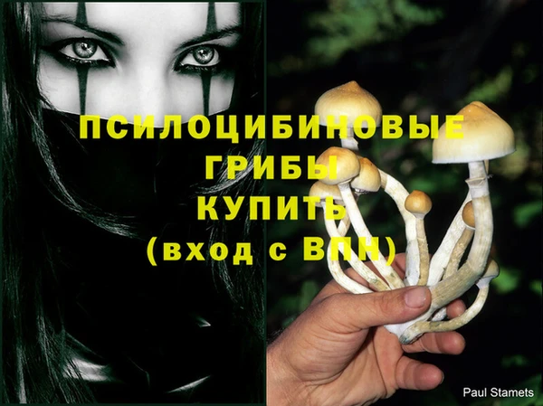 стафф Алексин