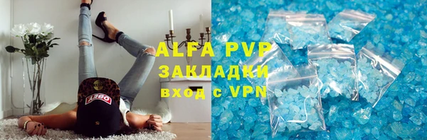 стафф Алексин