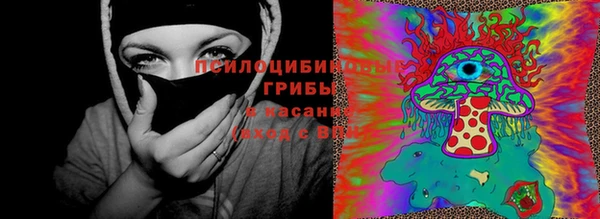 а пвп мука Алзамай