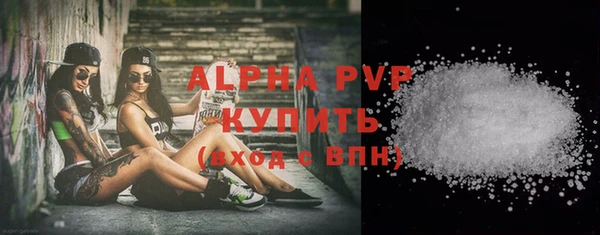 стафф Алексин