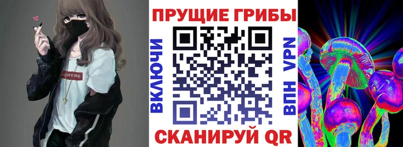 Псилоцибиновые грибы Psilocybine cubensis  OMG как зайти  Данков  что такое  