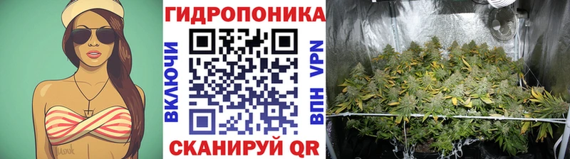Каннабис план  сколько стоит  Данков 